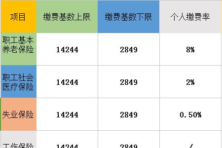 华莱士内部审计多少钱一个月
