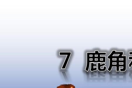 鹿角和鹿腿的长处是什么