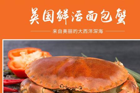 面包蟹800g有多大