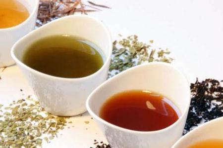 什么茶叶适合家养