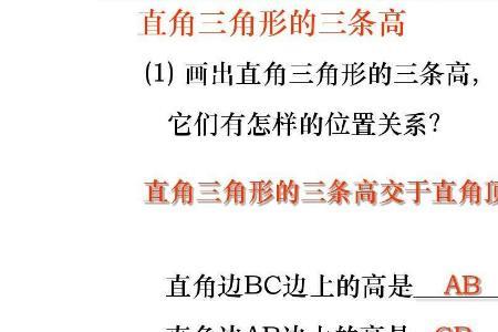 直角三角形的高线是
