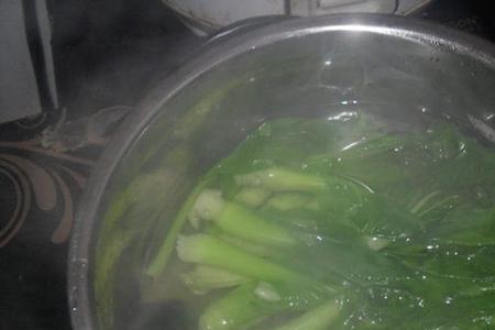 青菜放几天成水了怎么回事