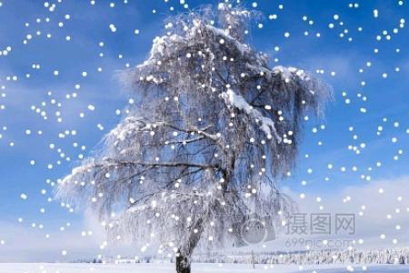 人间的雪花出自什么歌