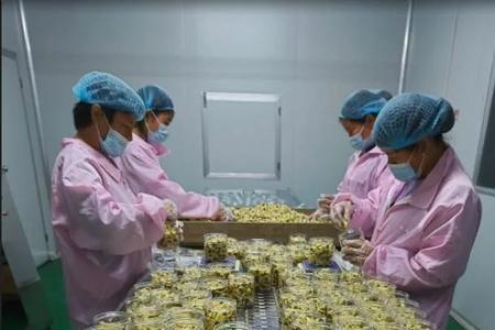 安徽益生源药业有限公司怎么样