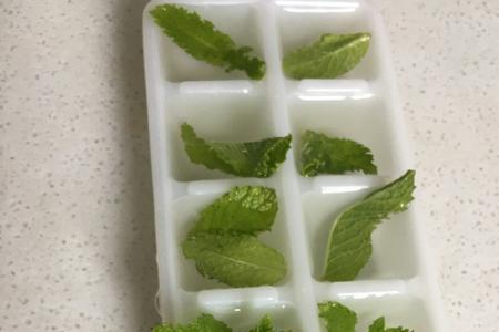 怎么泡薄荷叶才好喝