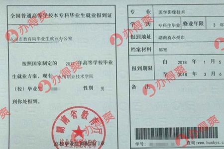 大学生就业报到证为什么取消