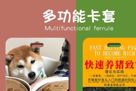 咕卡可以带进学校吗