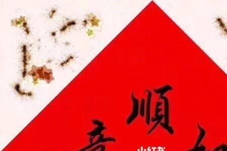什么是身弱杂气重