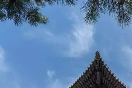 偷天换柱是什么意思