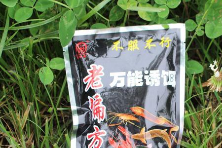 钓东北蝲蛄用什么饵