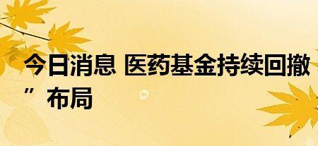 基金净值回撤什么意思