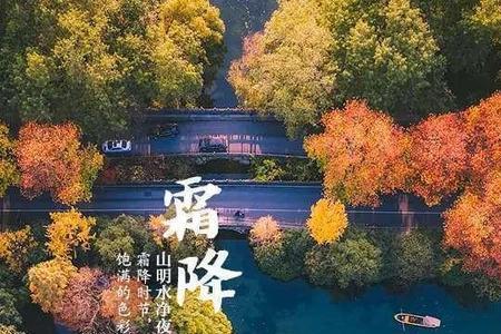 槛菊秋赏思念成霜啥子意思