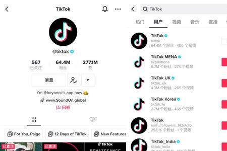 如何看tiktok