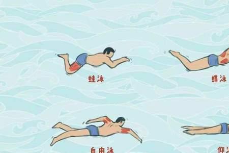 为什么游泳蹬腿不动