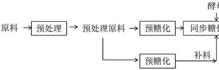 乙醇萃取糖原理