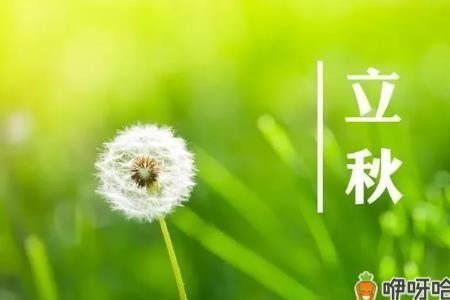 天津2022年立秋时间