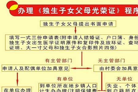 独生子女网上办理流程
