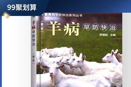 养羊技术与管理方法