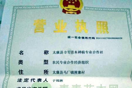 个体户开劳务费经营范围怎么填
