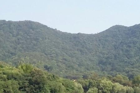 杭州虎山多高