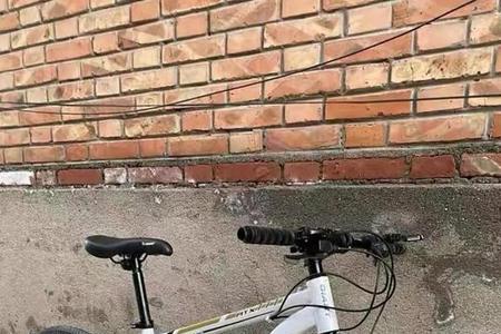 为什么捷安特网上买不到