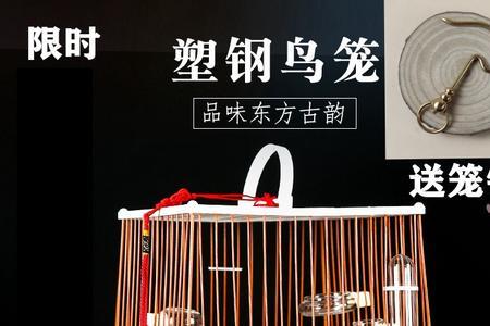 贝子不服笼怎么办
