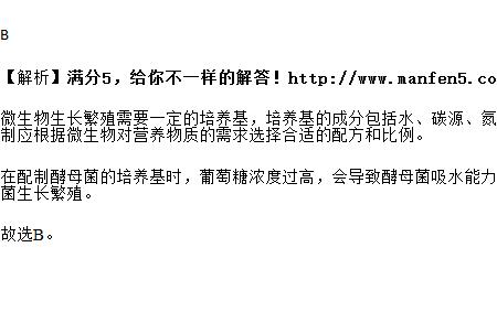 酵母菌溶液怎么配制