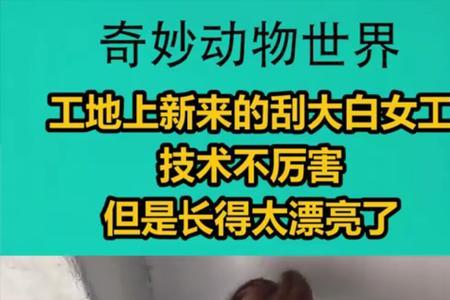 工地刮大白清包价