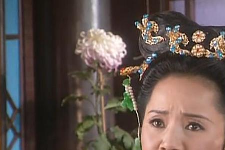 琼瑶是什么梗