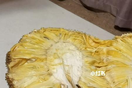 菠萝蜜放冰箱拿出来后湿湿的