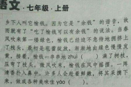 弄错的弄能组什么词