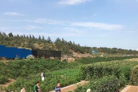 江苏省连云港家庭农场补贴标准