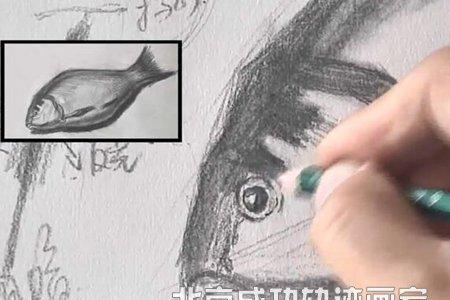如何让铅笔鱼快速进入状态