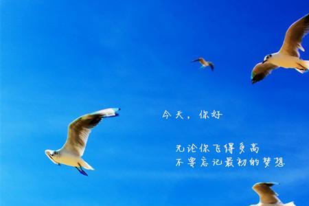 人生梦想属于什么短语