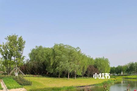 聊城九州洼月季公园门票多少