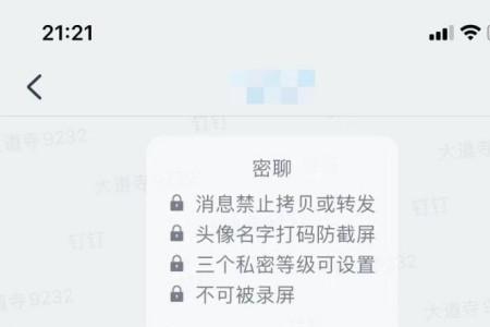 钉钉密聊怎么设置名字