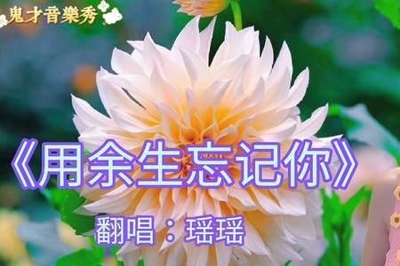 用余生忘记你是哪一年出的歌