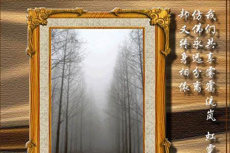 还乡舒婷赏析