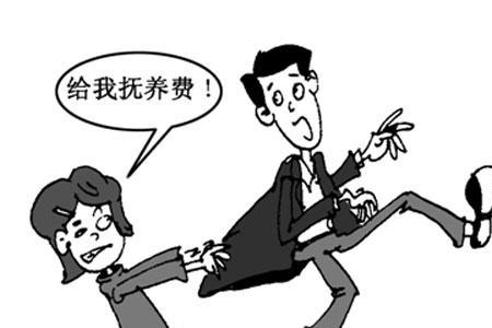起诉抚养费暂定金额啥意思