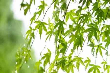 春和静在唐诗宋词相关诗句
