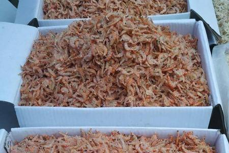 磷虾肉和磷虾干哪个好