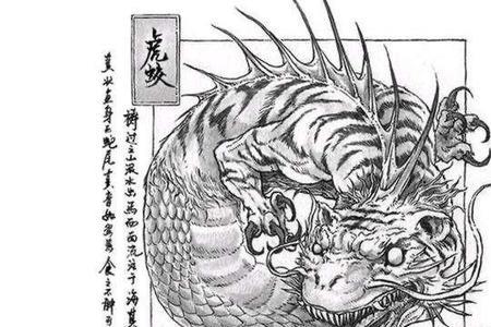 虎头和蛇尾有什么区别