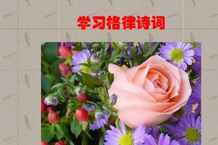 押韵的四句诗有哪些