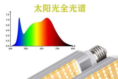 lightpool的全光谱灯泡怎么样