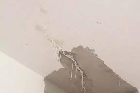 房顶长树漏水如何处理