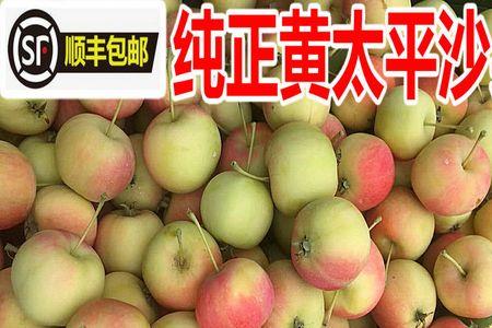 黄太平果怎么做不开裂