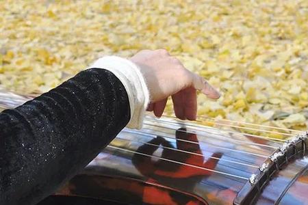 有声书中泛音是什么意思