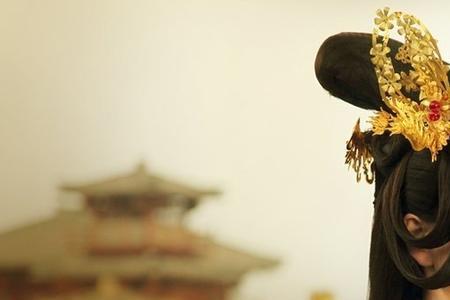 陆贞传奇太妃是什么身份