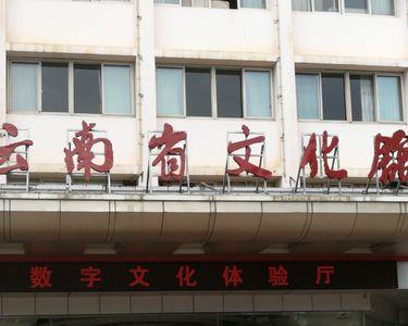 文化馆专业知识考什么
