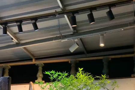 大飘簕竹和小叶簕竹的区别